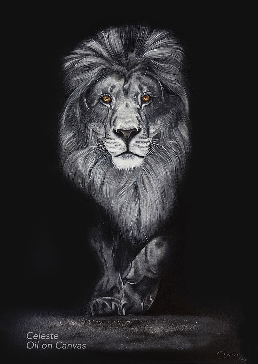 Sovereign of Shadows artwork